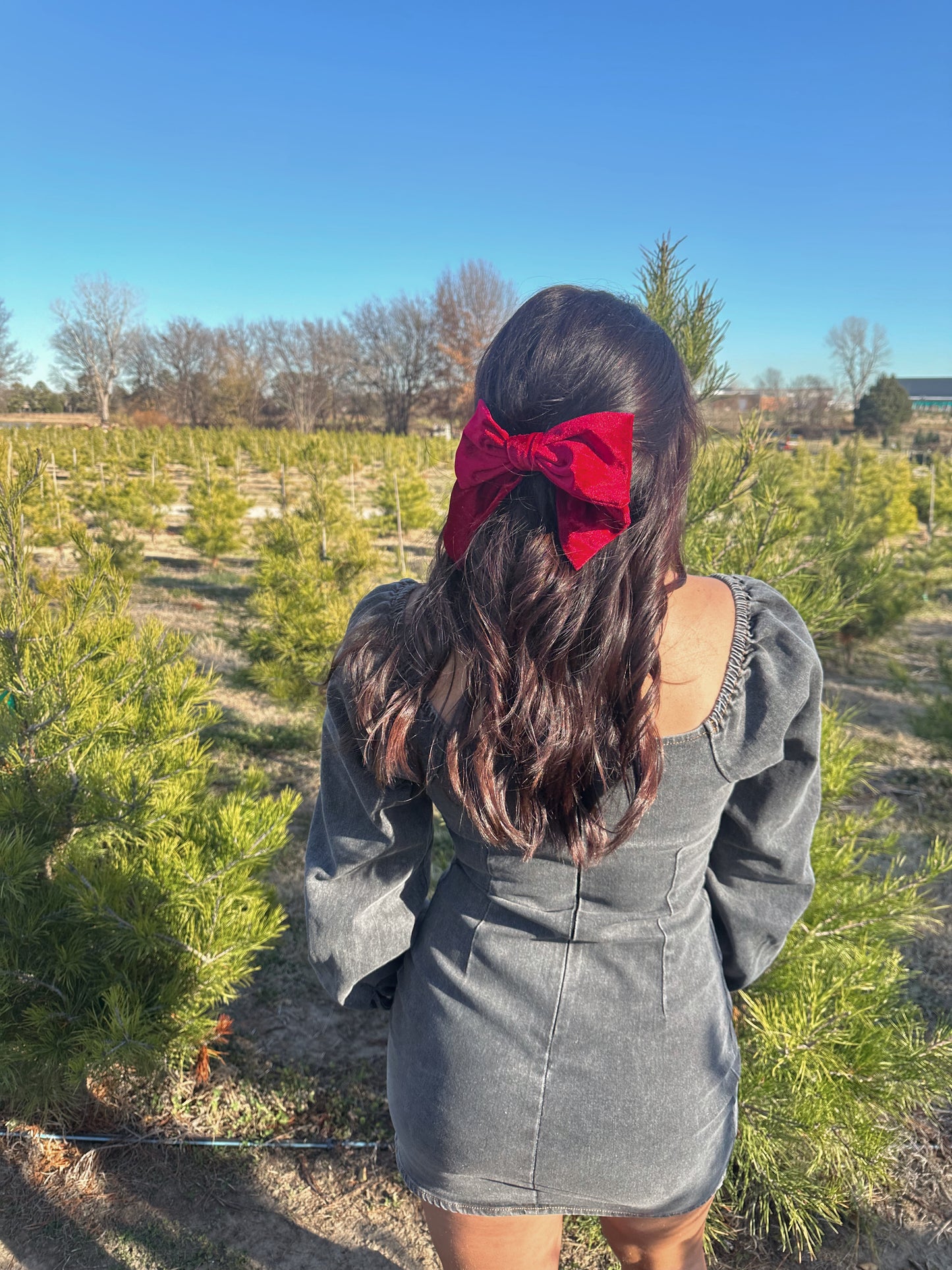 velvet bow hair clip