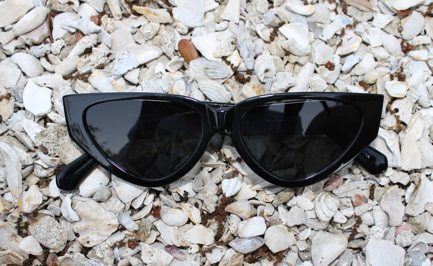 cat eye sunglasses
